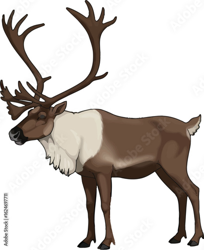 Illustration of a majestic reindeer with large antlers standing gracefully in a serene pose, showcasing its beauty and strength in detail