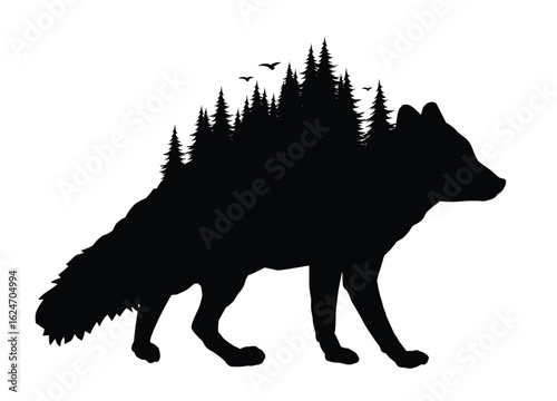 Wild fox silhouette with coniferous forest.
