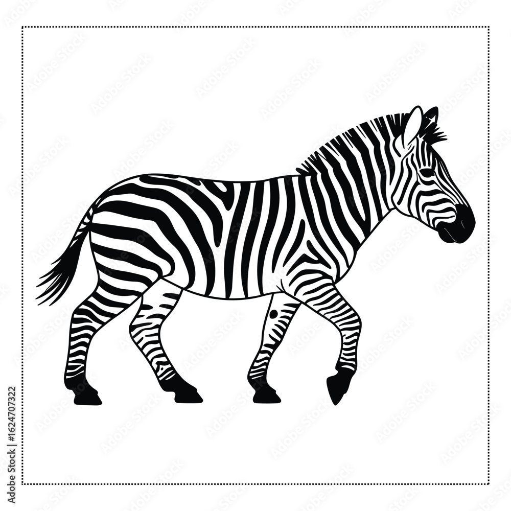 Obraz premium A Black color Animal Walking Zebra Black and White Vector silhouette Set