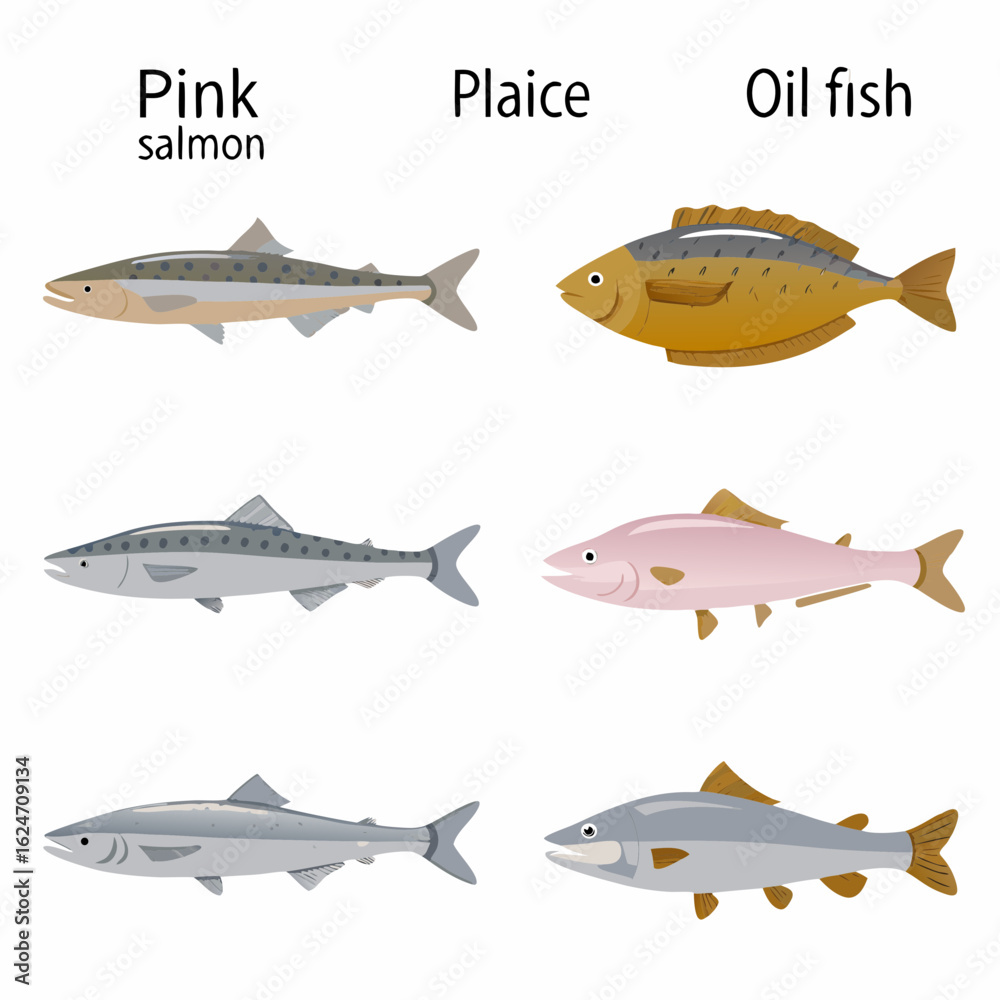 Fototapeta premium set of fish icons