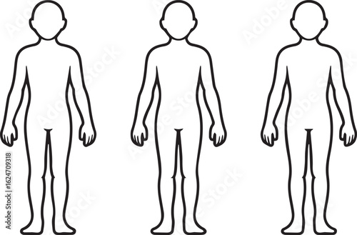 minimalist human body outline vector illustration for anatomy posters medical infographics and educational design use