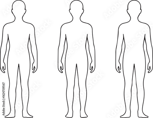 detailed front and back body outlines vector for medical diagrams fitness apps and clinical education materials