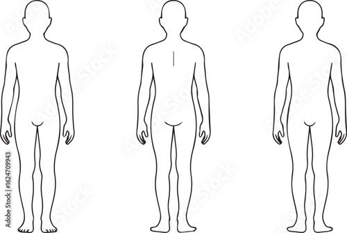universal human anatomy outline vector for science research ebooks diagnostic charts and professional healthcare graphics