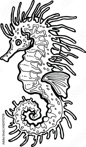 Coloring Book Kids Detailed Line Art Illustration of a Seahorse with Intricate Patterns and Spikes, Curled Tail and Distinctive Features