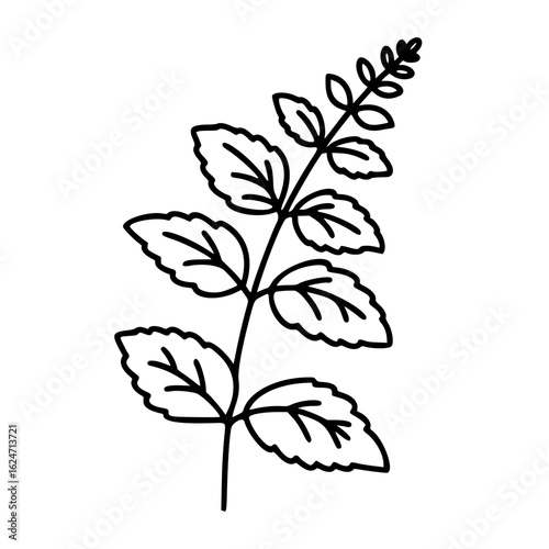 Lemon balm icon illustration in linear style