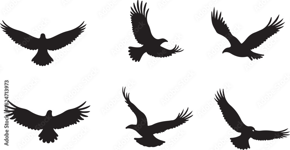 Obraz premium Majestic Birds in Flight Silhouette Graphic Pack