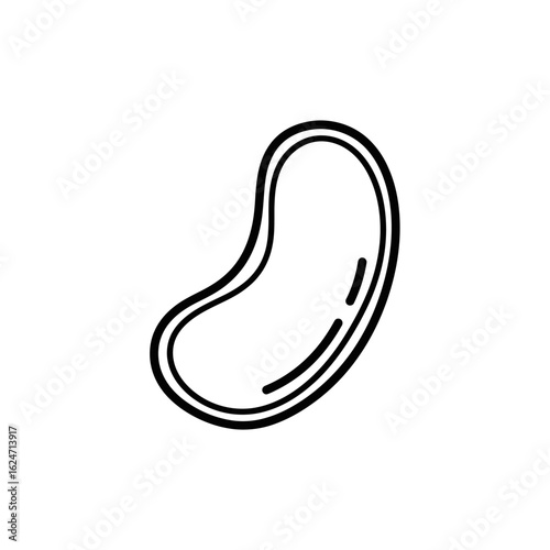 Simple Black and White Bean Outline with Interior Markings