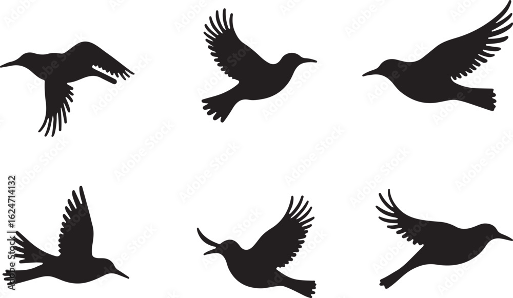 Obraz premium Majestic Birds in Flight Silhouette Graphic Pack