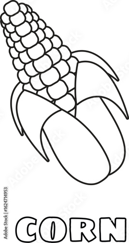 Coloring Book Kids Detailed line art illustration of an ear of corn with husk and kernels"