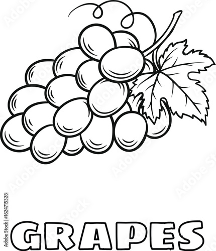 Coloring Book Kids Detailed grapes illustration with leaf and vine tendrils for coloring book page or educational materials, black and white line art style