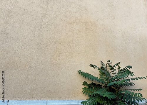 A glandular idol tree sprouting at the base of a house wall. Minimalist.