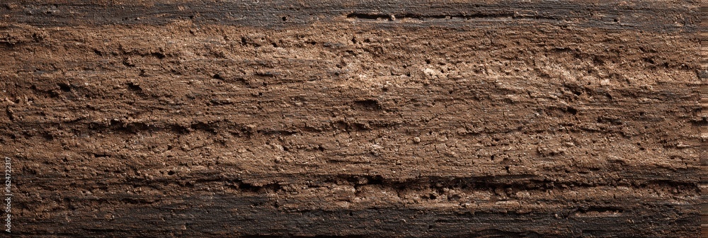 Detailed Close-Up of Dark Wooden Surface with Textured Patterns Detailed Close-Up of Dark Wooden Surface with Textured Patterns