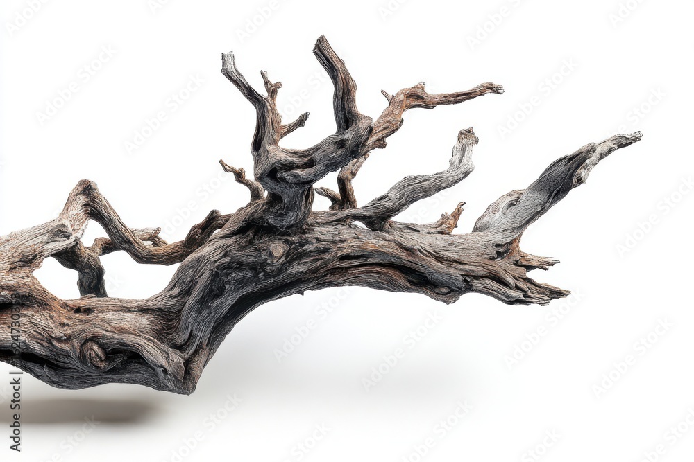 Fototapeta premium Weathered Driftwood Branch Isolated on White Background Detailed Texture Natural Design Element Artistic Composition