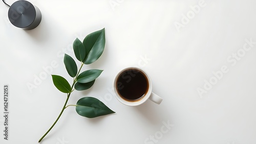 Minimalist desk with coffee cup and plant leaves, showcasing a clean and organized workspace.