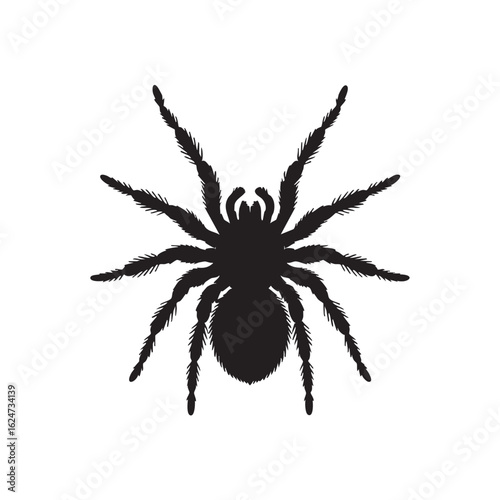 Black silhouette of a tarantula spider with hairy legs on white background arachnid insect