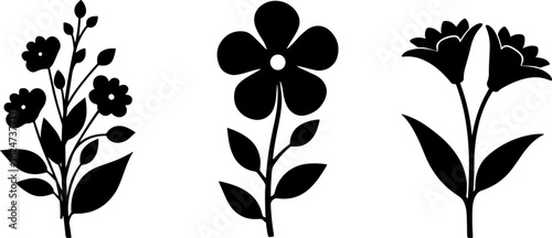 "Minimalist Wildflower Trio"
