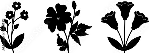 "Minimalist Wildflower Trio"