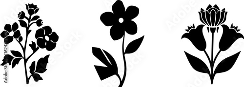 "Minimalist Wildflower Trio"