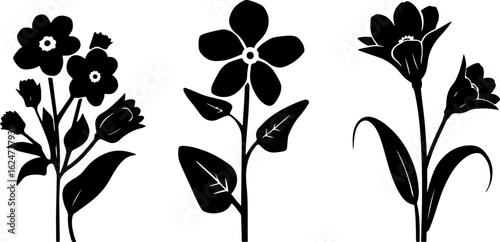 "Minimalist Wildflower Trio"