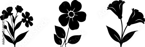 "Minimalist Wildflower Trio"