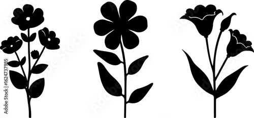 "Minimalist Wildflower Trio"