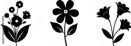 "Minimalist Wildflower Trio"