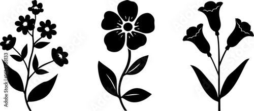 "Minimalist Wildflower Trio"