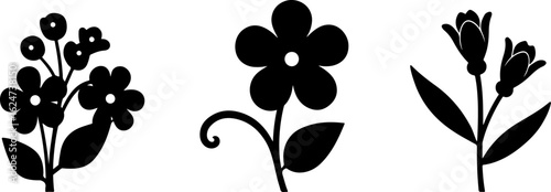 "Minimalist Wildflower Trio"