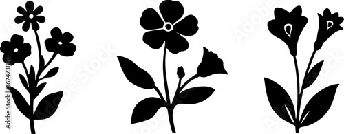 "Minimalist Wildflower Trio"