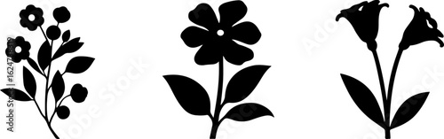 "Minimalist Wildflower Trio"