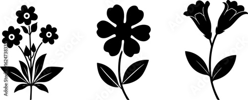 "Minimalist Wildflower Trio"