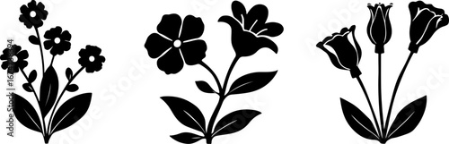"Minimalist Wildflower Trio"