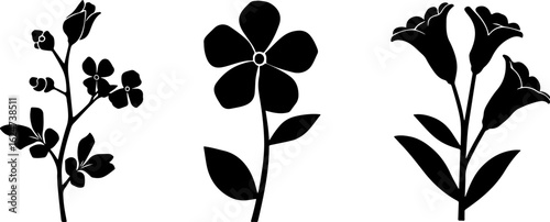 "Minimalist Wildflower Trio"