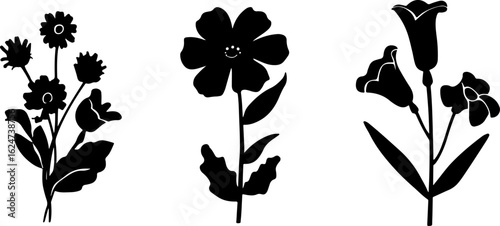 "Minimalist Wildflower Trio"