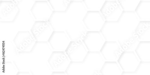 abstract vector minimal with 3d white hexagon background and Embossed Hexagon , honeycomb white mosaic cell web ,light and shadow texture design.