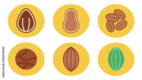 Collection of flat design icons of various nuts and seeds