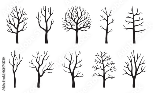 Ten minimalist black and white bare tree silhouettes vector