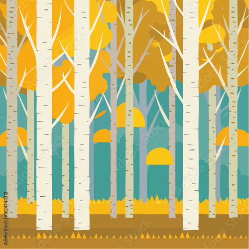 birch forest in autumn inside the planting of yellowed trees