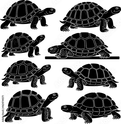 Eight black silhouette illustrations of tortoises in various poses, showcasing different angles and sizes. Transparant backgorund PNG/SVG/EPS