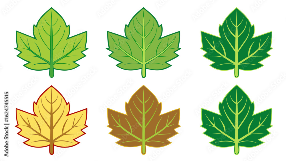 Obraz premium Collection of stylized maple leaves in different colors
