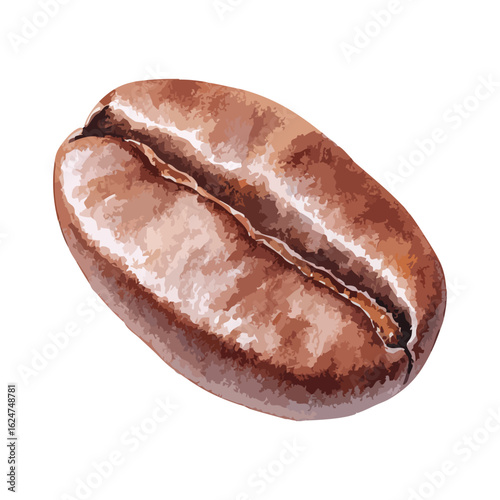 Watercolor coffee bean isolated