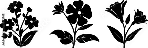 Floral Silhouettes Collection"