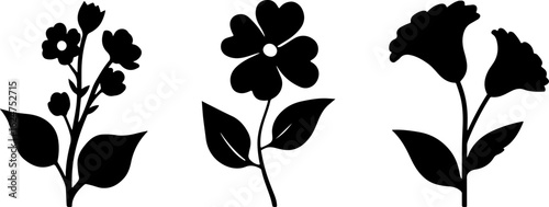 Floral Silhouettes Collection"