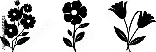 Floral Silhouettes Collection"