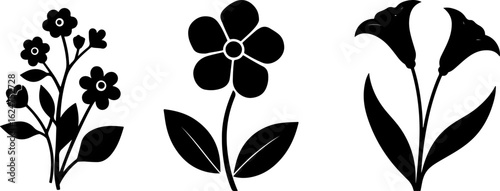 Floral Silhouettes Collection"