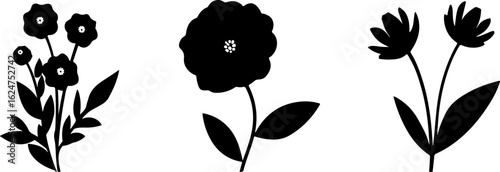 Floral Silhouettes Collection"