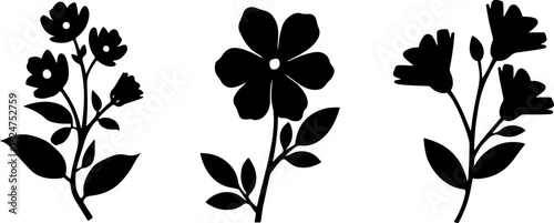 Floral Silhouettes Collection"