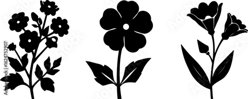 Floral Silhouettes Collection"