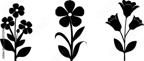 Floral Silhouettes Collection"