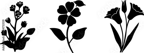 Floral Silhouettes Collection"